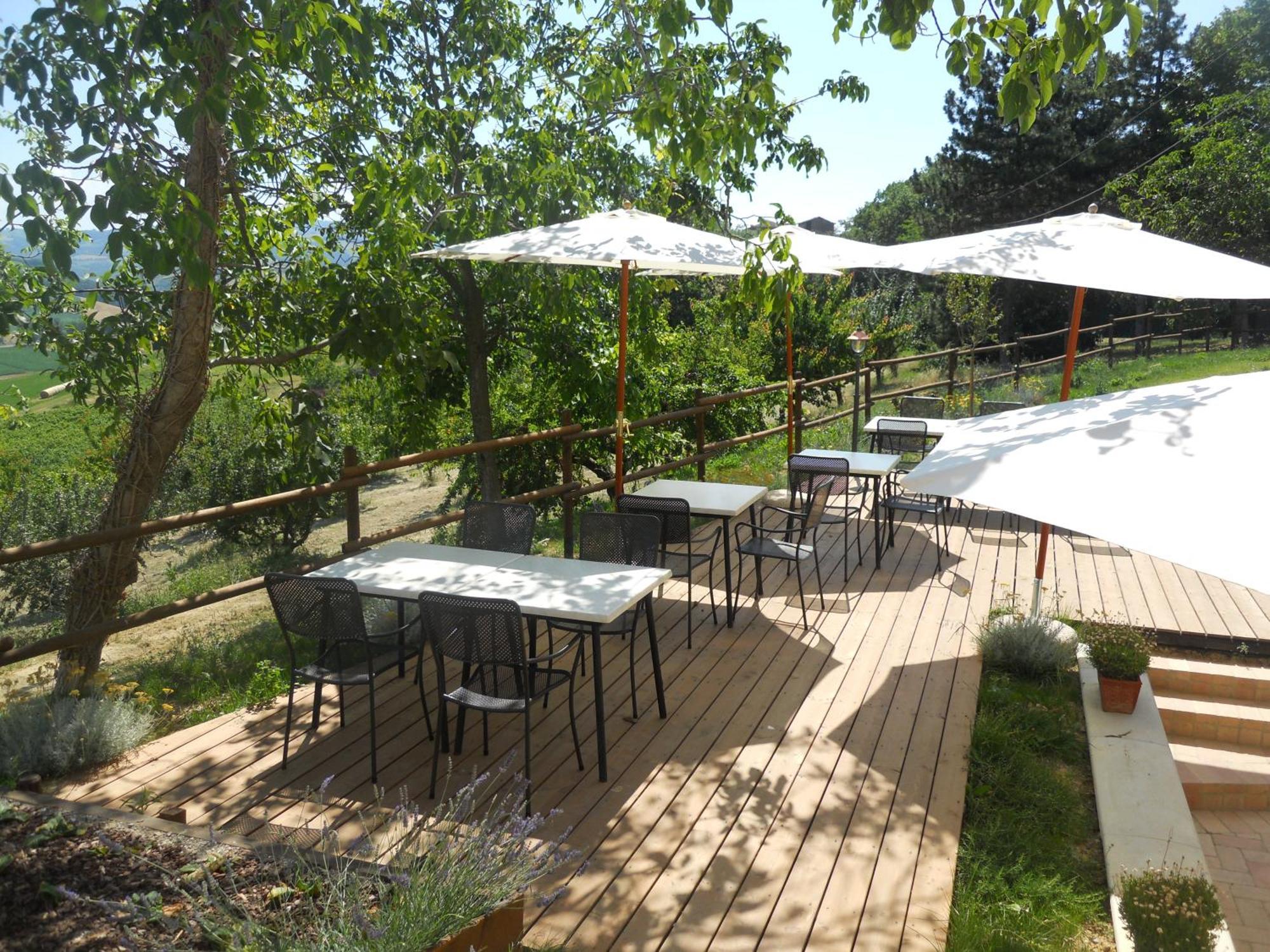 Agriturismo Podere Diamante Кастелветро ди Модена Екстериор снимка