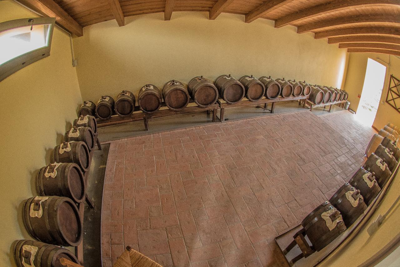 Agriturismo Podere Diamante Кастелветро ди Модена Екстериор снимка